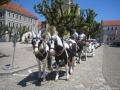 img_1242075749_319_lg-jpg