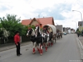 img_1242076373_346_lg-jpg