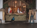 IMG_3265.JPG