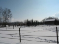 img_1263242101_469_lg-jpg